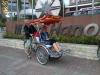 View The Vietnam Album