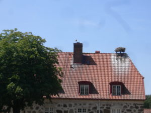 Flyinge